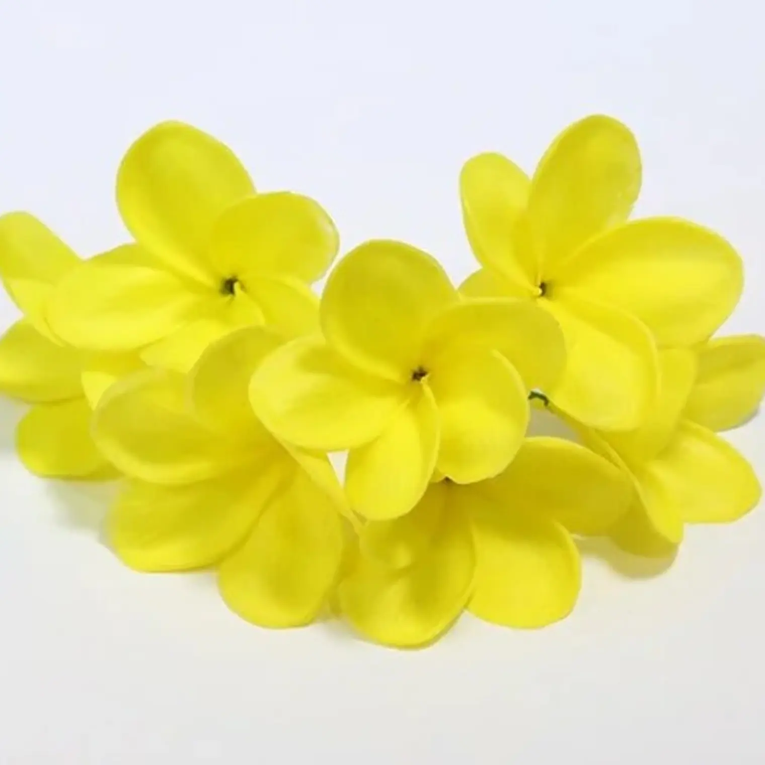 Flor Frangipanie Amarillo Con Palito para el cabello 1