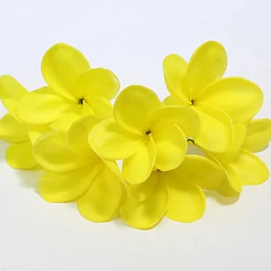 Flor Frangipanie Amarillo Con Palito para el cabello