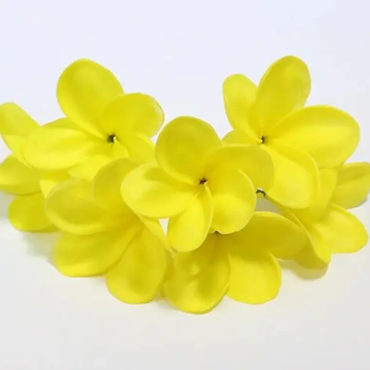 Flor Frangipanie Amarillo Con Palito para el cabello 1