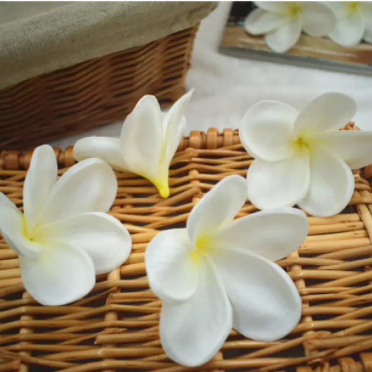 Flor Frangipanie Blanco Amarillo Con Palito para cabello 4