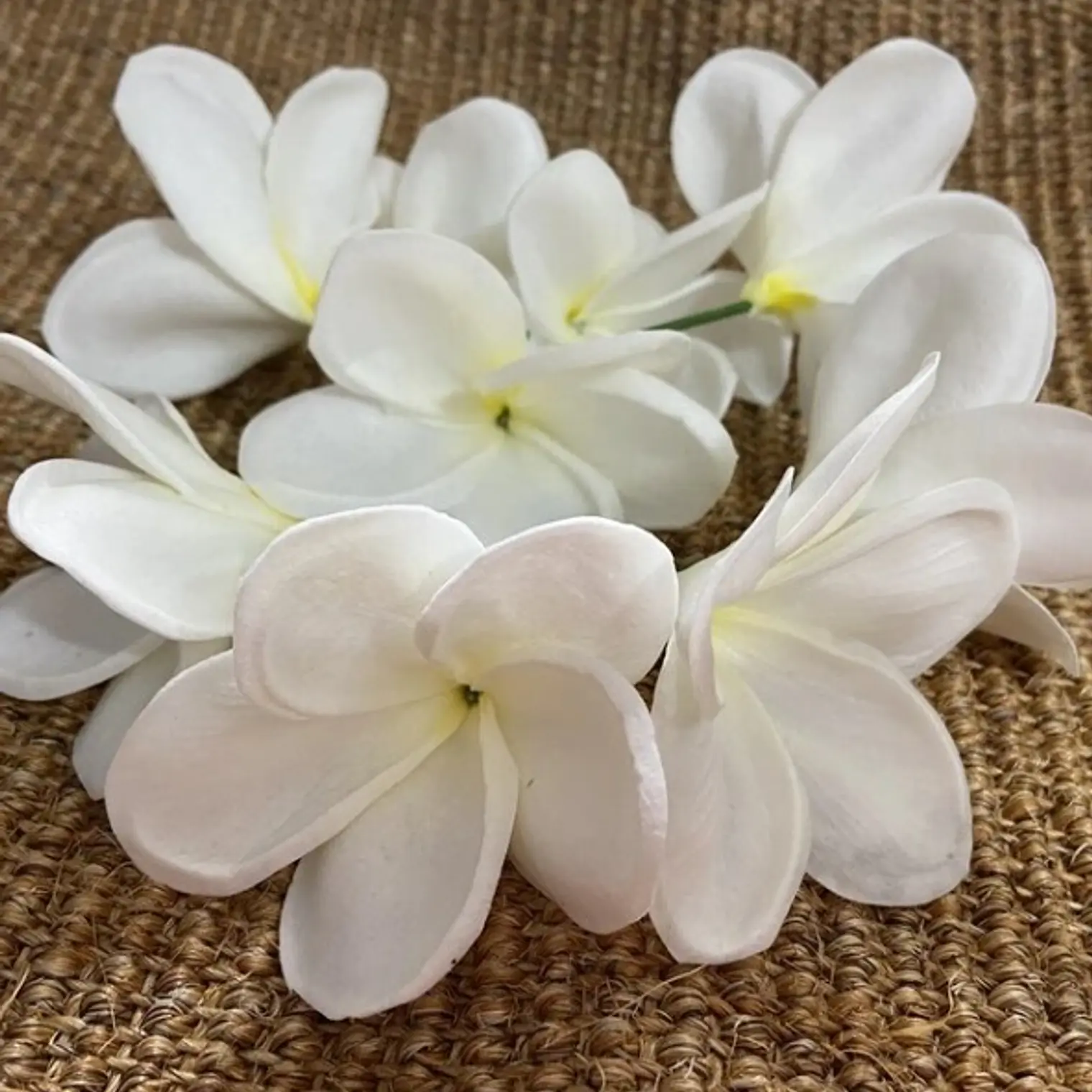 Flor Frangipanie Blanco Amarillo Con Palito para cabello 3