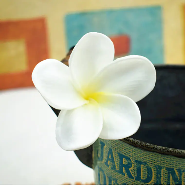 Flor Frangipanie Blanco Amarillo Con Palito para cabello 2