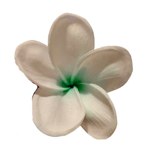 Flor Frangipanie blanco con verde Con Palito para cabello