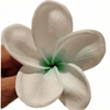 Flor Frangipanie blanco con verde Con Palito para cabello