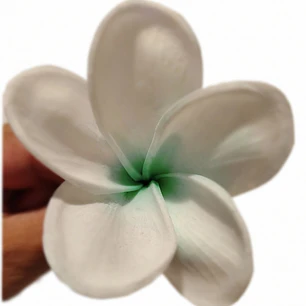 Flor Frangipanie blanco con verde Con Palito para cabello