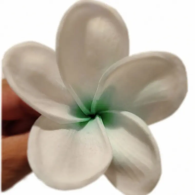 Flor Frangipanie blanco con verde Con Palito para cabello 1