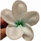 Flor Frangipanie blanco con verde Con Palito para cabello - thumbnail 1