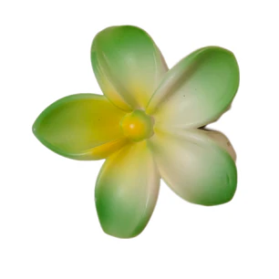 Flor Frangipani Verde Tipo Tiburon para el cabello