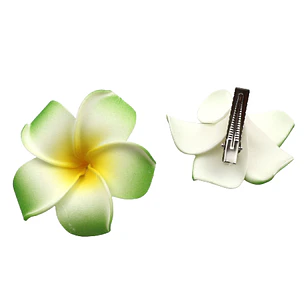 Pinza para el Cabello Frangipanie Verde Con Blanco