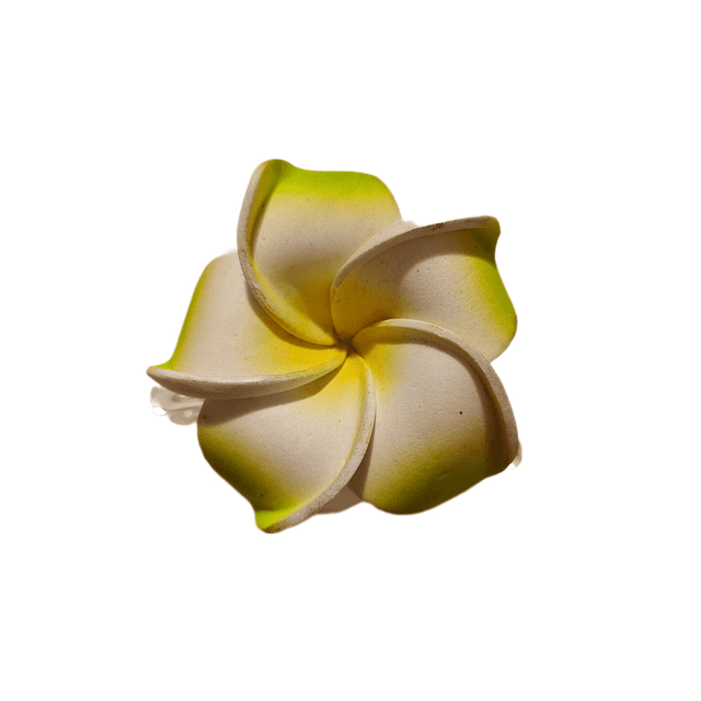 Flores Frangipani verde goma eva Tipo Tiburon