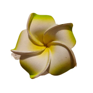 Flores Frangipani verde goma eva Tipo Tiburon