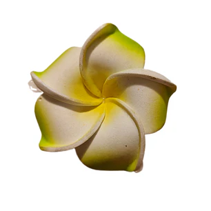 Flores Frangipani verde 6,5cm goma eva Tipo Tiburon