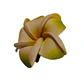 Pinza flor Tipanie verde pequeña goma eva 4,5cm para el cabello - Miniatura 3