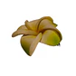 Pinza flor Tipanie verde pequeña goma eva 4,5cm para el cabello - Miniatura 4