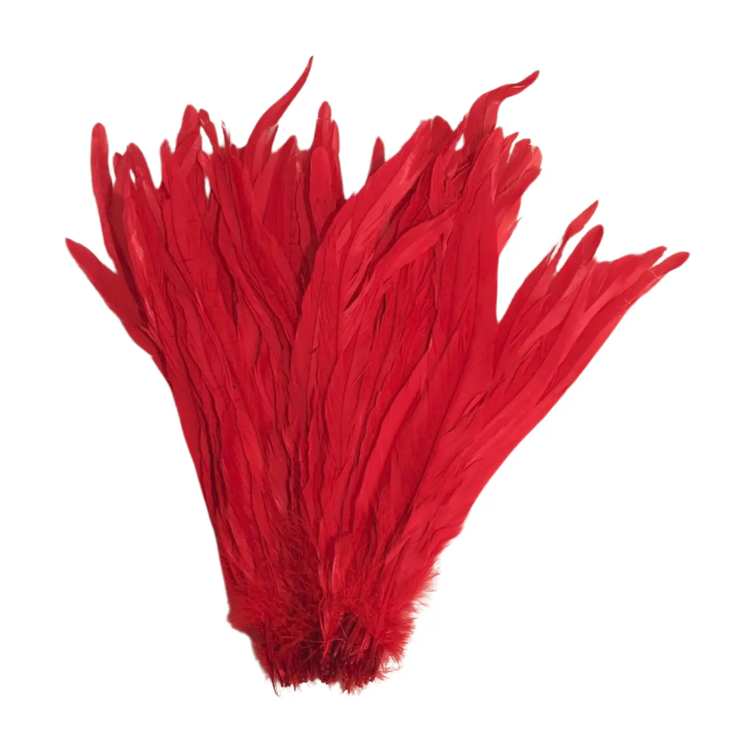 Pack 8 Plumas vaero Largas Rojas 20 A 25cm  3
