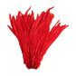 Pack 8 Plumas vaero Largas Rojas 20 A 25cm  - Miniatura 4