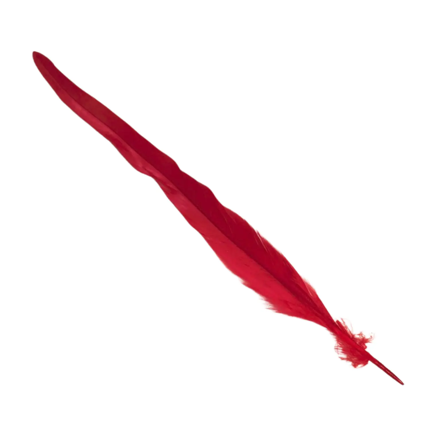 Pack 8 Plumas vaero Largas Rojas 20 A 25cm  6