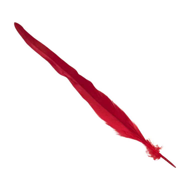 Pack 8 Plumas vaero Largas Rojas 20 A 25cm  6