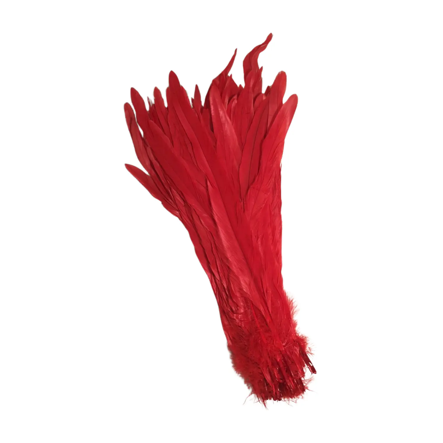 Pack 8 Plumas vaero Largas Rojas 20 A 25cm  7