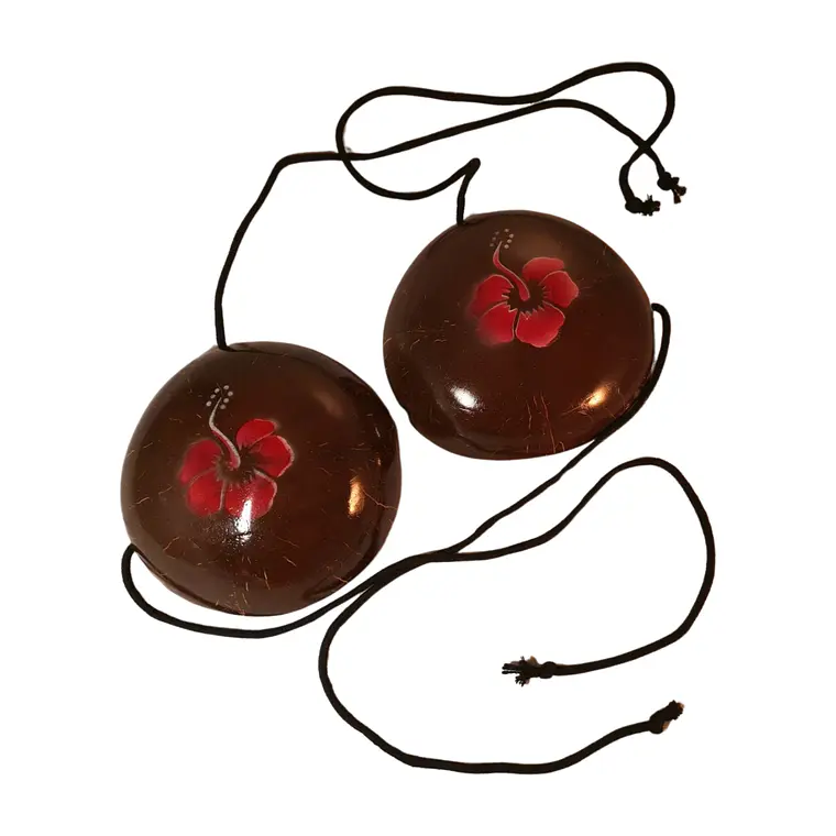 Coconut Bra with Hibiscus Ideal for Polynesian Dances 6