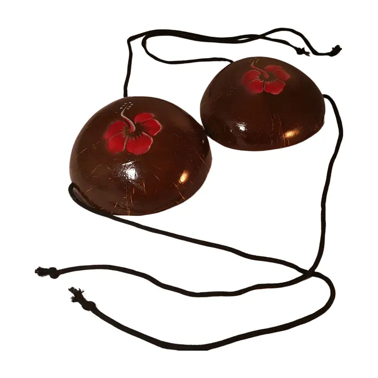 Coconut Bra with Hibiscus Ideal for Polynesian Dances 8