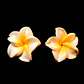 Aros flor tipanie blanca con amarillo diametro 2 cm - thumbnail 7