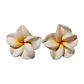 Aros flor tipanie blanca con amarillo diametro 2 cm - thumbnail 5
