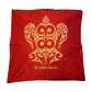 Funda cojin Rojo Gabardina estampada con tortuga 45x45cm - Miniatura 2