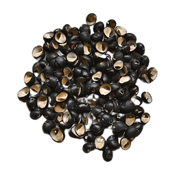 Bolsa De 100 Conchitas pipi negro con orificio tamaños entre 1 y 1,5cm