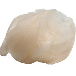 Bolsa con Plumas Beige entre 4 y 8cm app 50gr