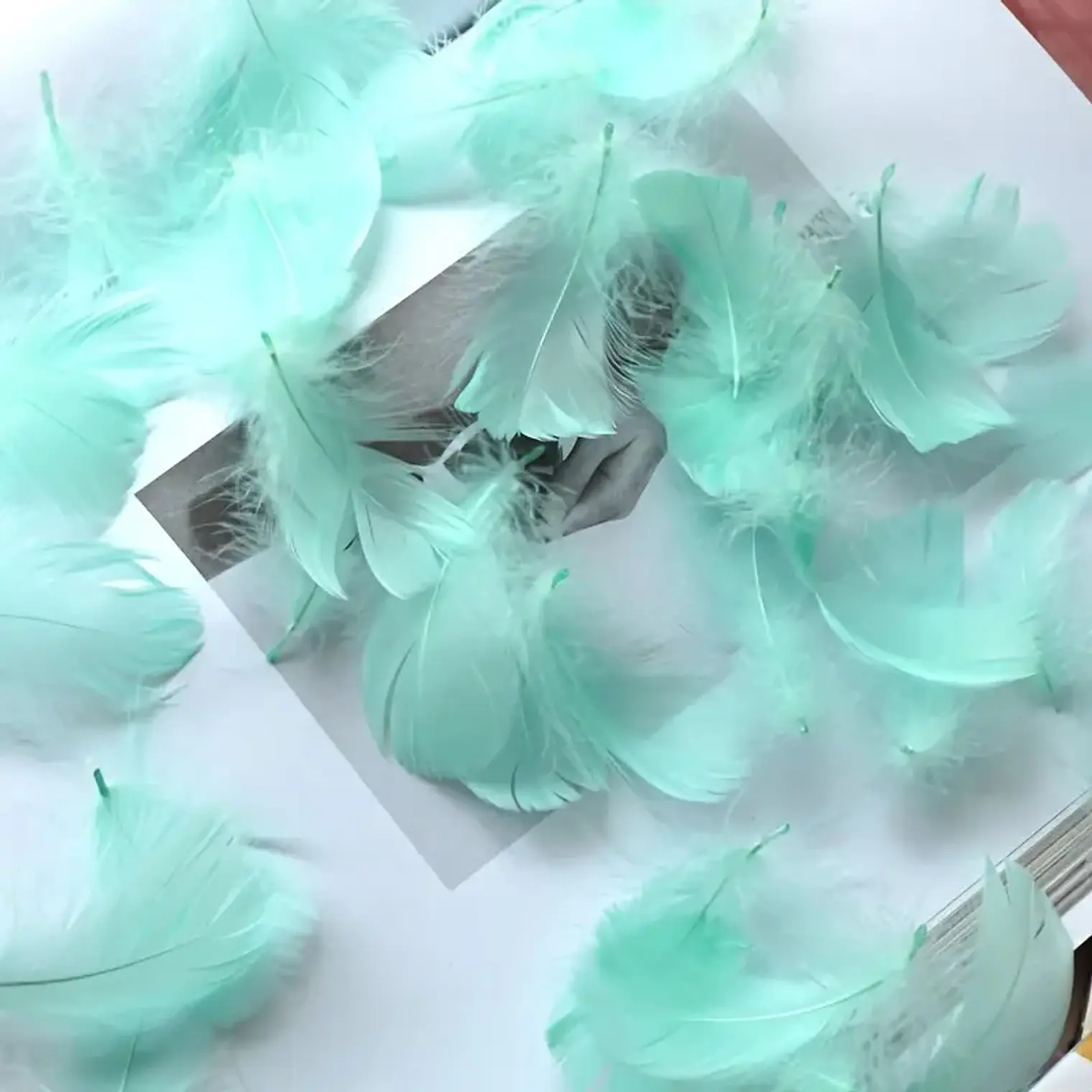 Bolsa con Plumas Turquesa entre 4 y 8cm app 50gr- COPIAR 1