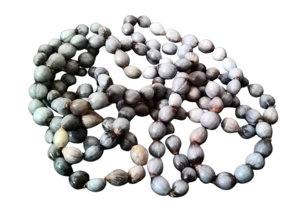 Collar Semillas gris perimetro 100cm
