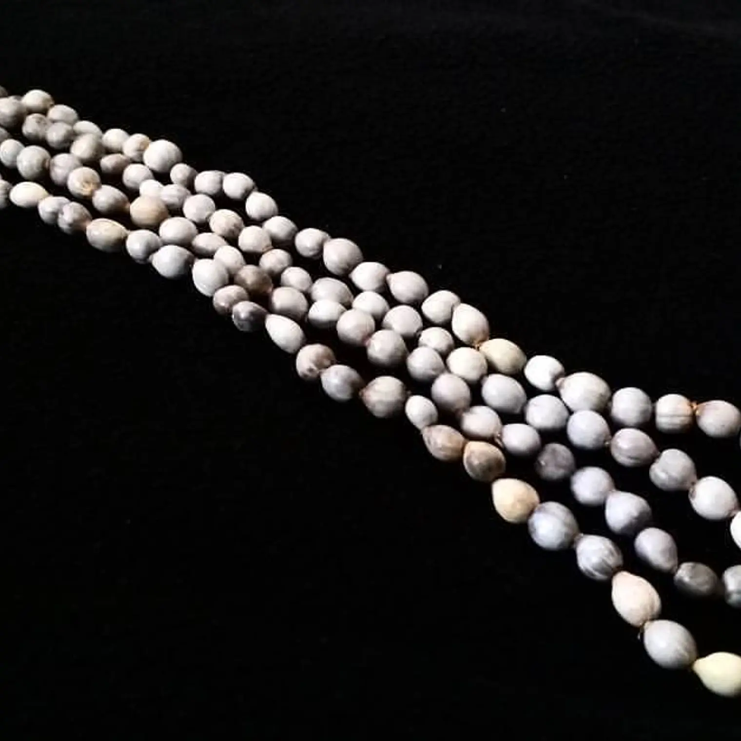 Collar Semillas gris perimetro 100cm  4