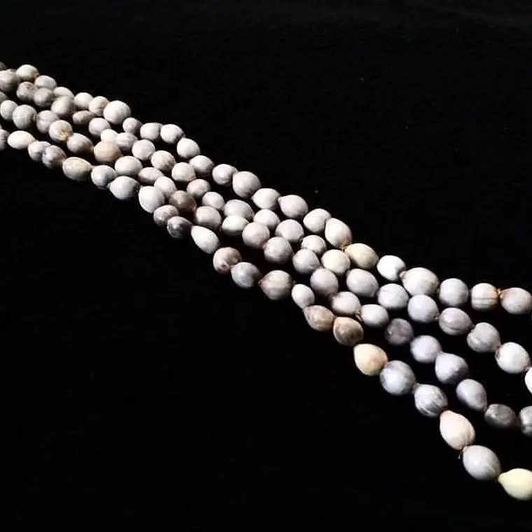 Collar Semillas gris perimetro 100cm  4