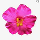 Flores hibisco fucsia con pinza para el cabello - Miniatura 2