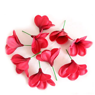 Pack 10 Tipanie Fucsia Texturada para el Cabello Con Palito