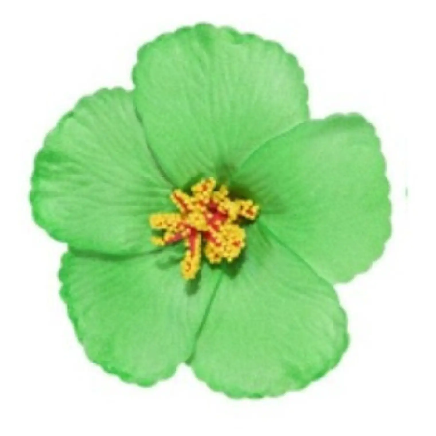pack 10 Flor Hibisco Verde Con Pinza para el cabello 2