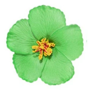 pack 10 Flor Hibisco Verde Con Pinza para el cabello
