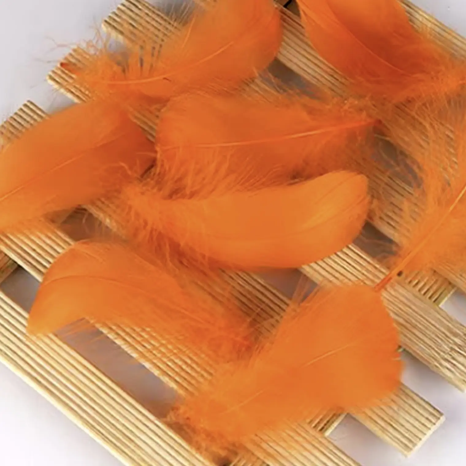 Bolsa Plumas arficial naranja Entre 4 Y 8cm app 100un 2
