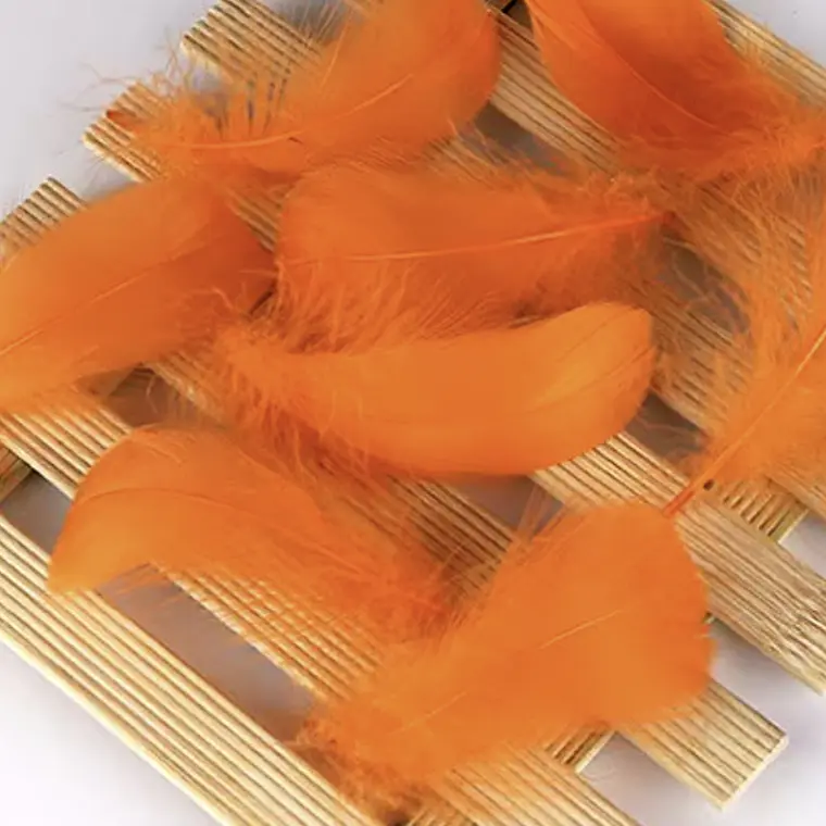 Bolsa Plumas arficial naranja Entre 4 Y 8cm app 100un 2