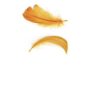 Bolsa Plumas arficial naranja Entre 4 Y 8cm app 100un