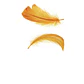 Pack 5 Bolsas Plumas naranja Entre 4 Y 8cm app 500un - thumbnail 1