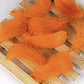 Pack 5 Bolsas Plumas naranja Entre 4 Y 8cm app 500un - thumbnail 2