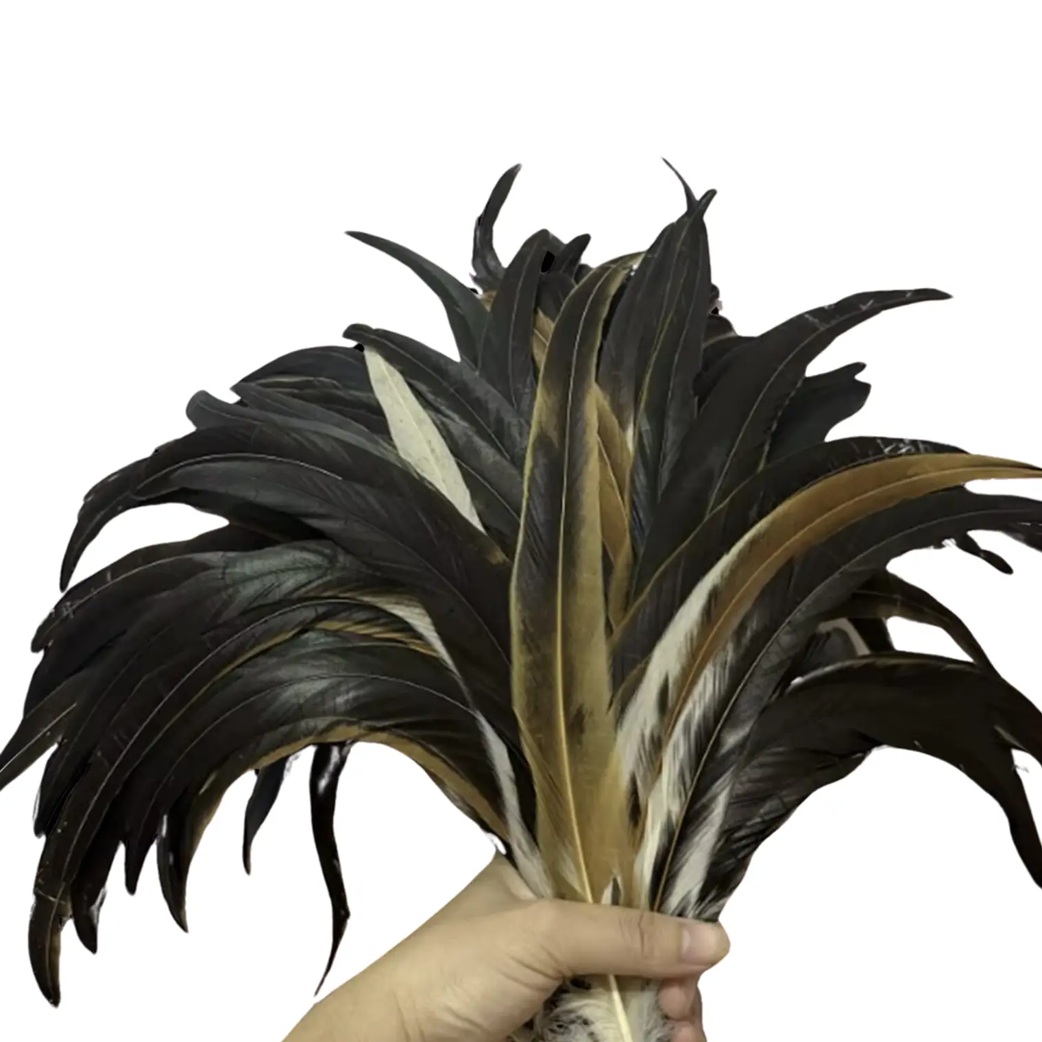 pack 8 Plumas Largas Color Café Natural 25cm a 30cm 1