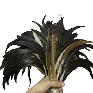 pack 8 Plumas Largas Color Café Natural 25cm a 30cm