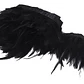 Boa 5 yardas o 4,5mts Plumas Negro 8 A 12 Cm punta - thumbnail 2