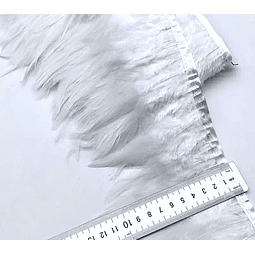 1 metro Boa de Plumas Blanco 10 A 15 Cm en punta