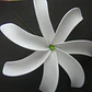 1 flor tiare B centro verde con palito para el cabello - Miniatura 2