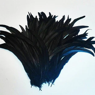 Pack 50 Plumas aprox. Largas Negro Entre 20 y 25cm