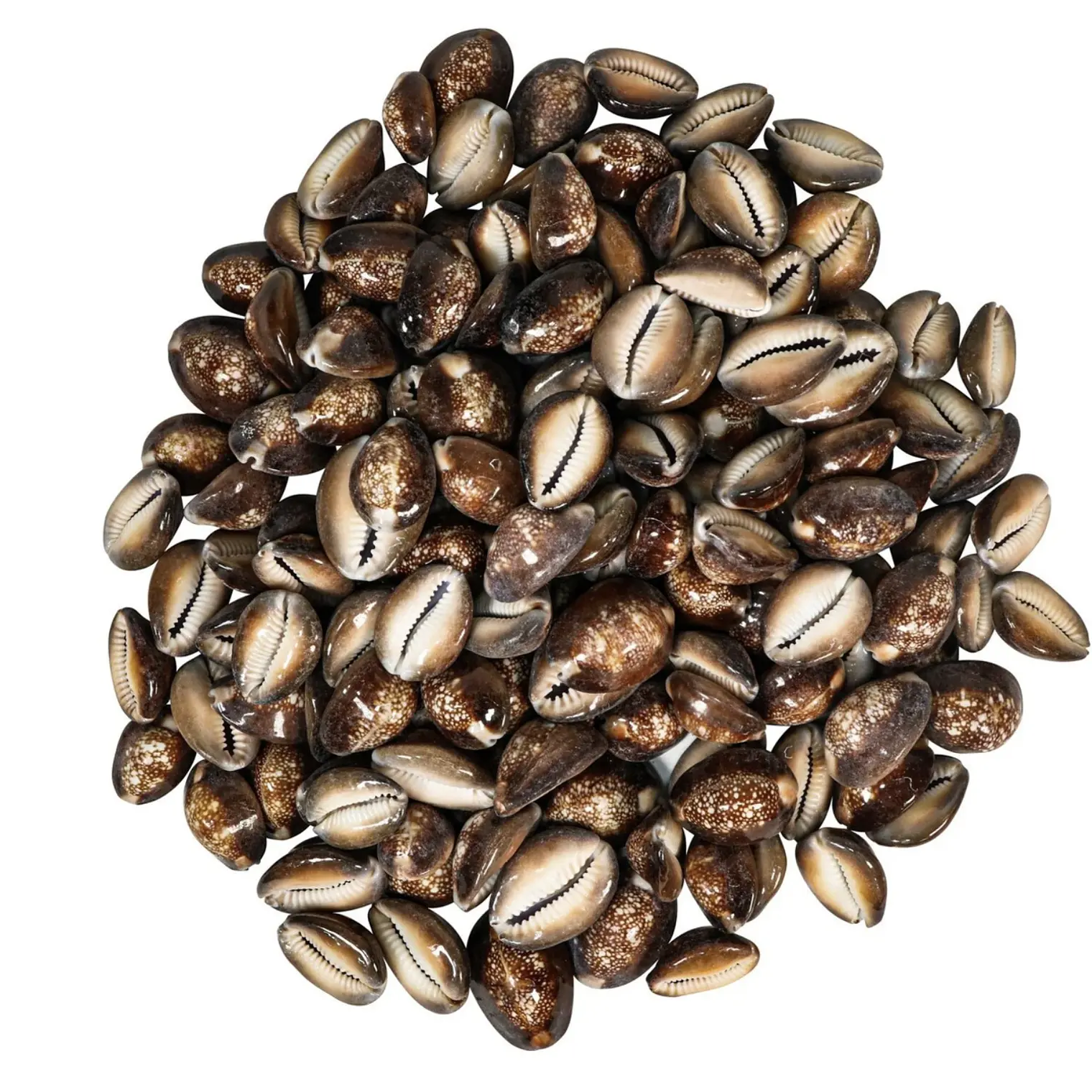 1 kilo Bolsa de Conchitas Pure Cafe Variedad De Tamaños 1